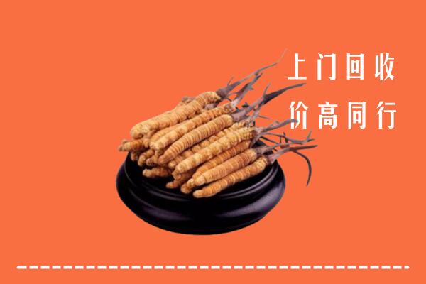 高价求购：覃塘区回收散虫草