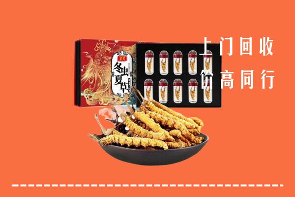 覃塘区回收虫草